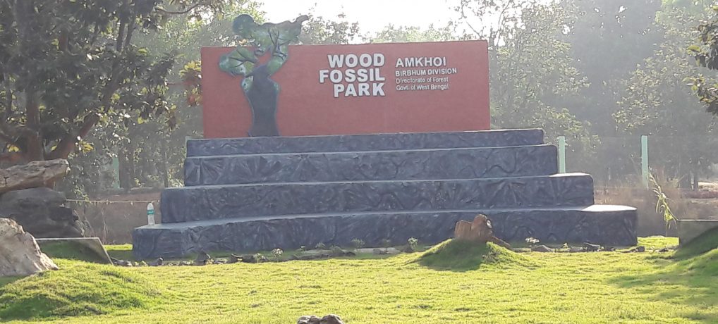 Fossil Park